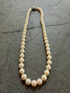 Genuine 1950's Akoya Pearl Necklace