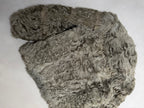 Rotiny Persian Lamb Curled Fur Jacket - S