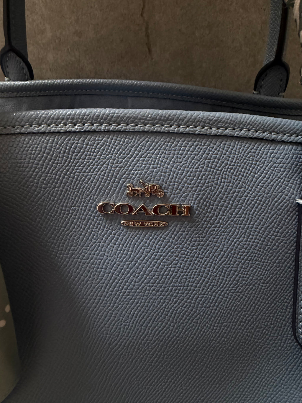 Coach Lillie Carryall Powder Blue